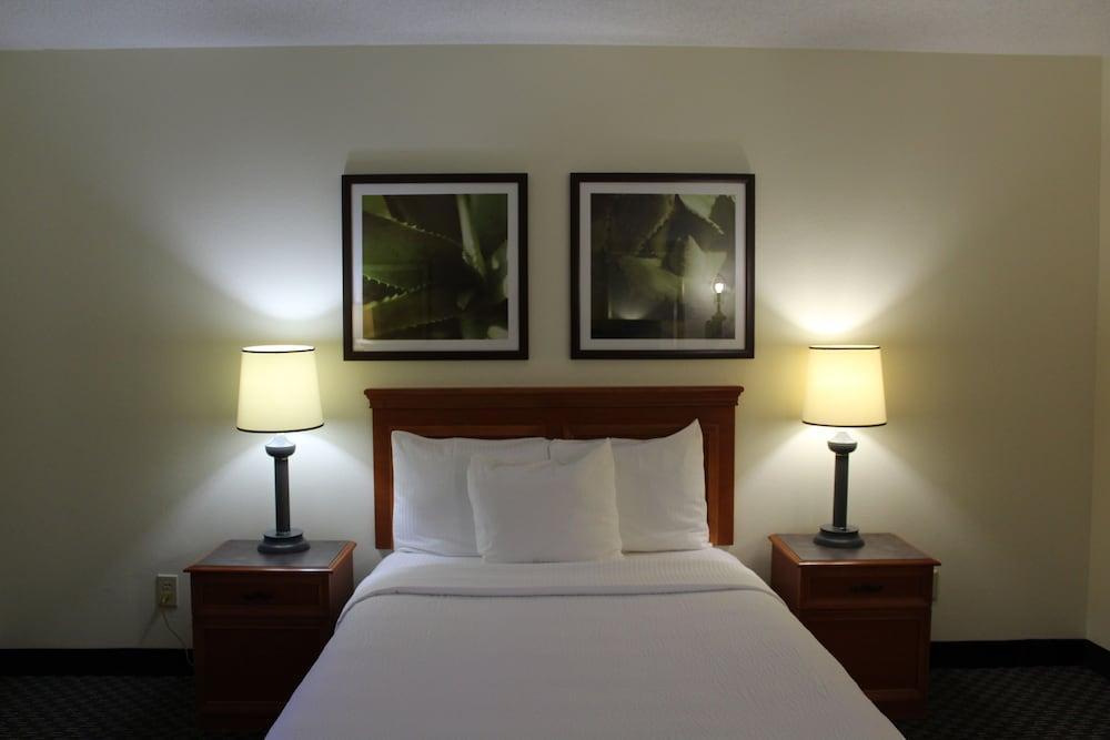 La Quinta By Wyndham Tampa Brandon West Otel Heartland Dış mekan fotoğraf